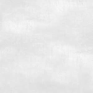 FENIX GRIS